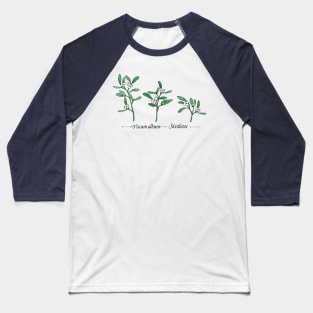 Mistletoe-Viscum album Baseball T-Shirt